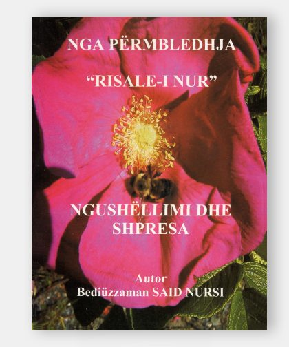 Ngushëllimi dhe Shpresa (Hastalar Risalesi)