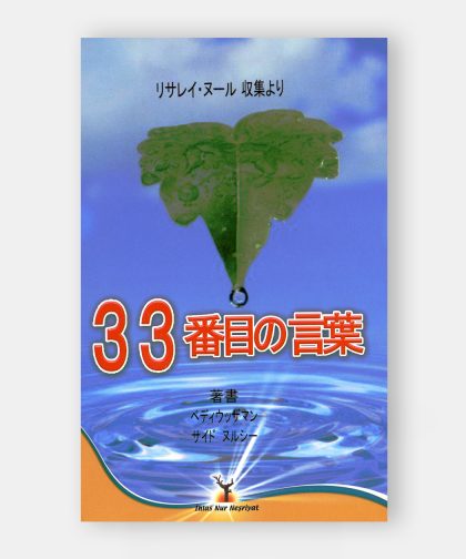 33 pencere