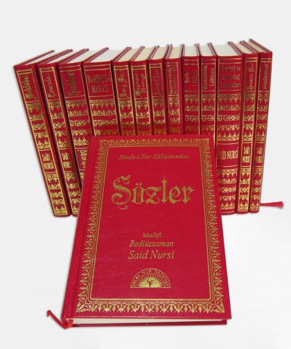 ORTA BOY SIRTI DERİ ESERLER