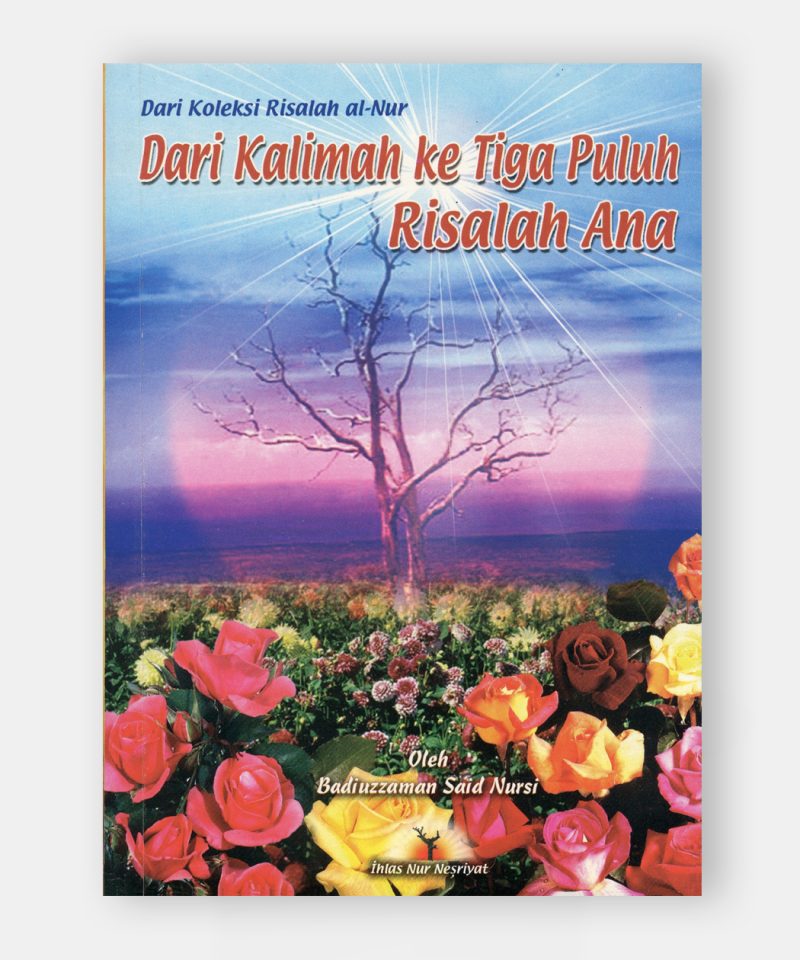 Eneve Zerre Risalesi
